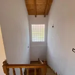 Mino * Шкодер
