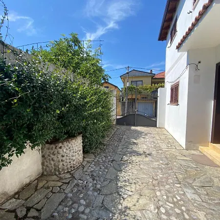 Mino Vila