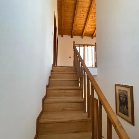 Mino Vila Shkodër