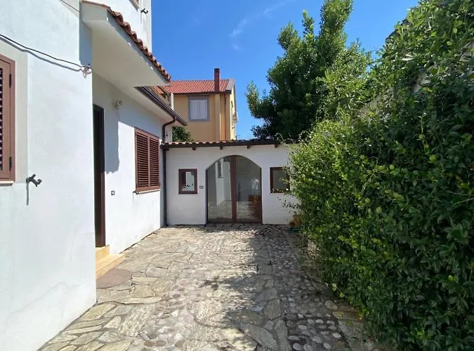 فيلة Mino شكودر